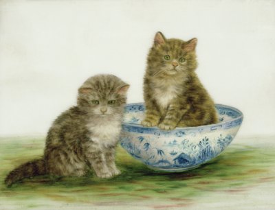Kitten in a Blue China Bowl by Bessie Bamber